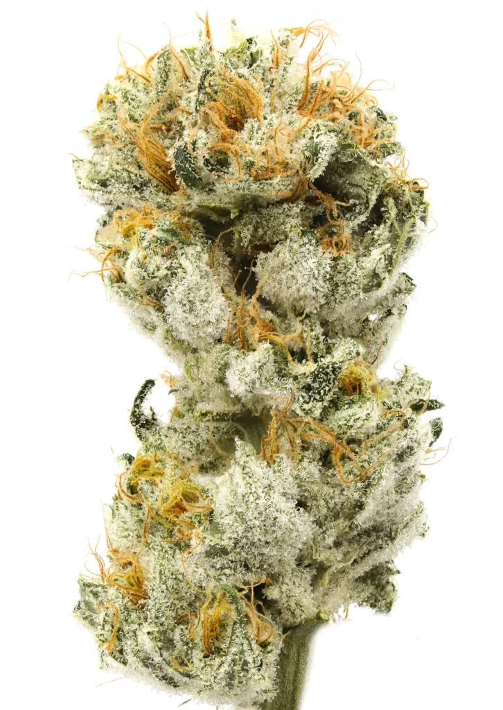 710 Labs Flower Nug